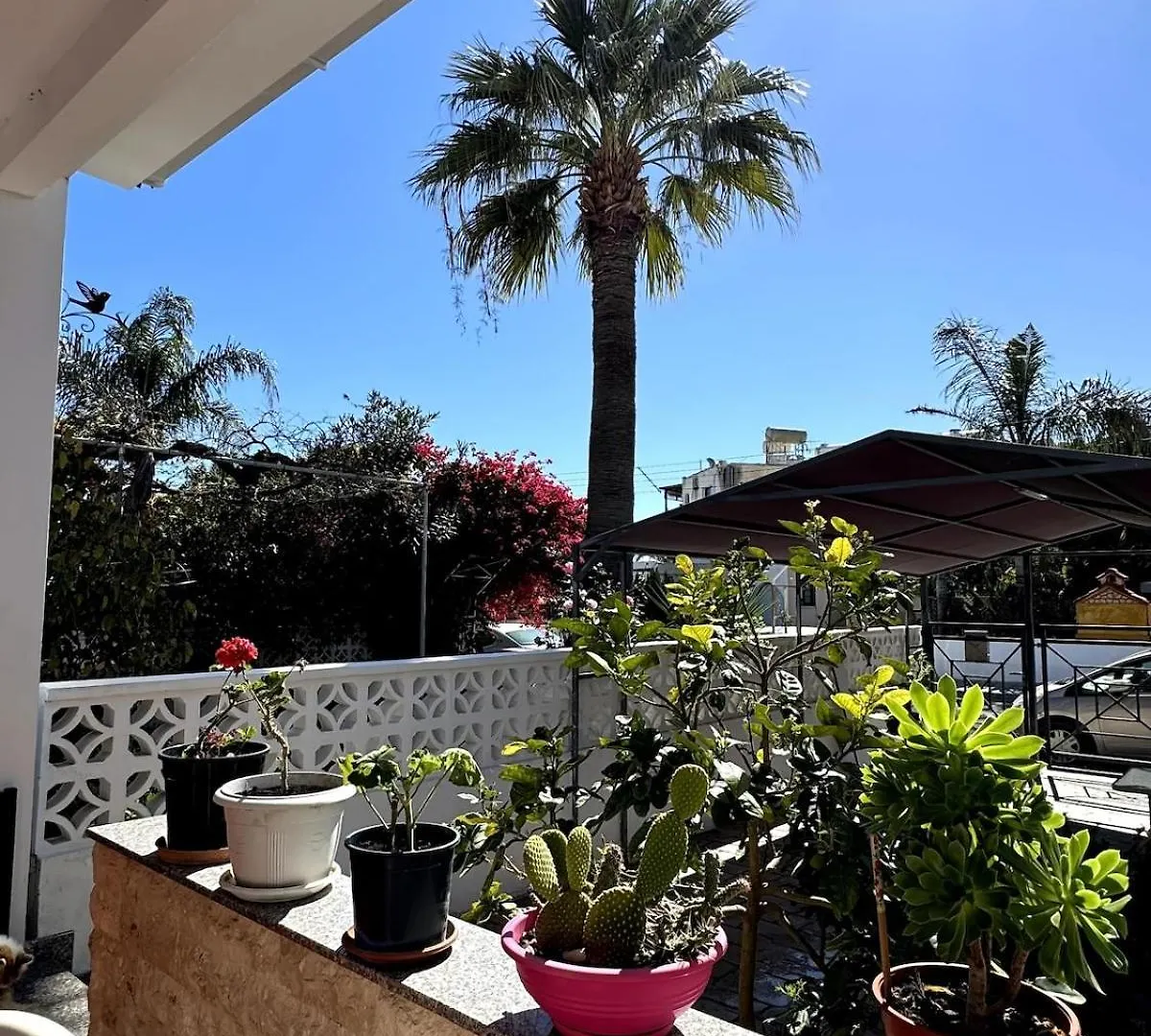 Seaside Serenity Villa Larnaca 0*,  Cyprus